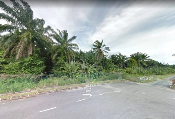 Johor Factory Malaysia Industry Kulai-Johor-Land-for-sell-PTR-6-560x380 出售 For Sale  