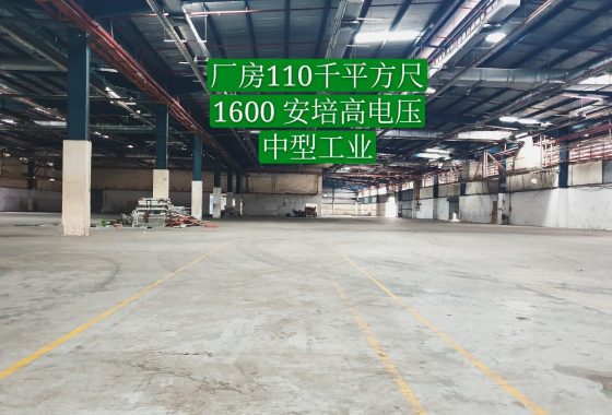 Johor Factory Malaysia Industry 20191118_143158_mh1574237497922-560x380 出租 For Rent  