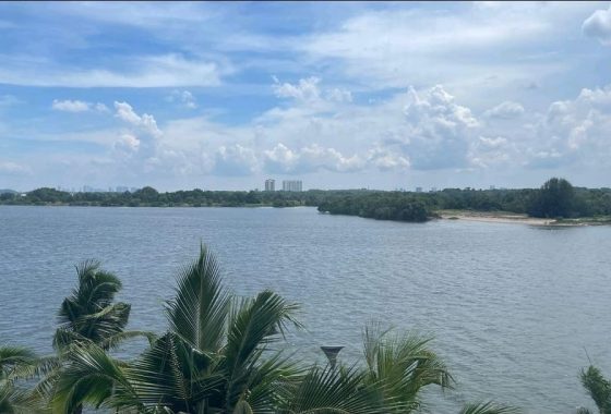 Johor Factory Malaysia Industry WhatsApp-Image-2025-10-11-at-17.21.39-560x380 Johor Freehold Residential Land For Sale  