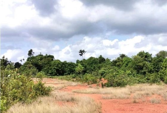 Johor Factory Malaysia Industry WhatsApp-Image-2025-10-11-at-23.35.52-560x380 Tanjung Langsat Pasir Gudang Freehold Zoning Industrial Land For Sale  