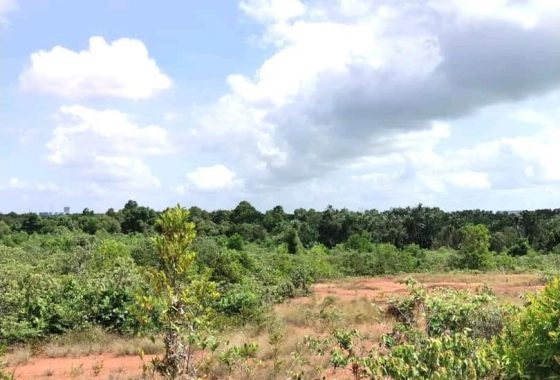 Johor Factory Malaysia Industry WhatsApp-Image-2025-10-11-at-23.36.33-560x380 Johor, Pasir Gudang, Pasir Putih Freehold Commercial Land For Sale  